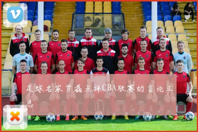 足球名家贾磊点评CBA联赛的言论汇总