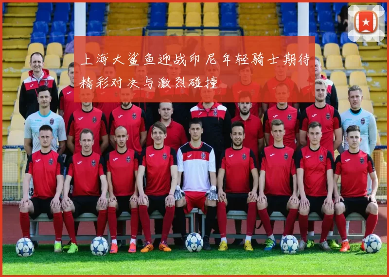 上海大鲨鱼迎战印尼年轻骑士期待精彩对决与激烈碰撞