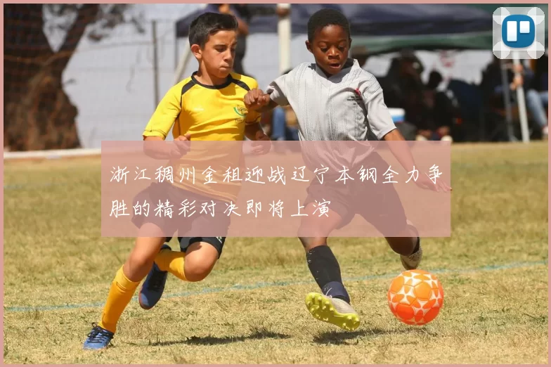 浙江稠州金租迎战辽宁本钢全力争胜的精彩对决即将上演