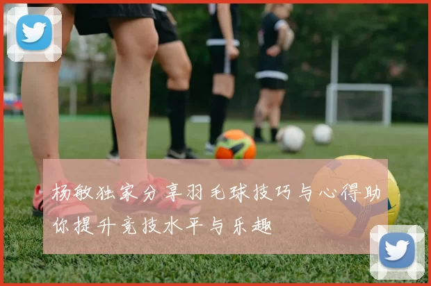杨敏独家分享羽毛球技巧与心得助你提升竞技水平与乐趣