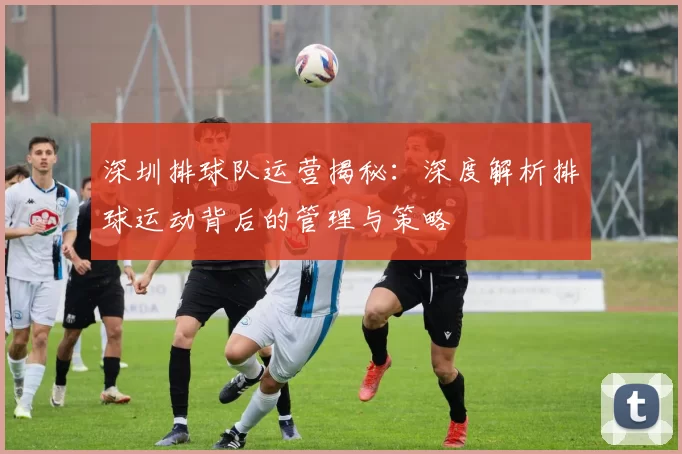 深圳排球队运营揭秘：深度解析排球运动背后的管理与策略
