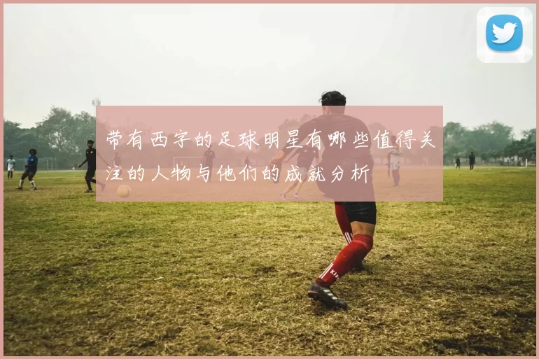 带有西字的足球明星有哪些值得关注的人物与他们的成就分析