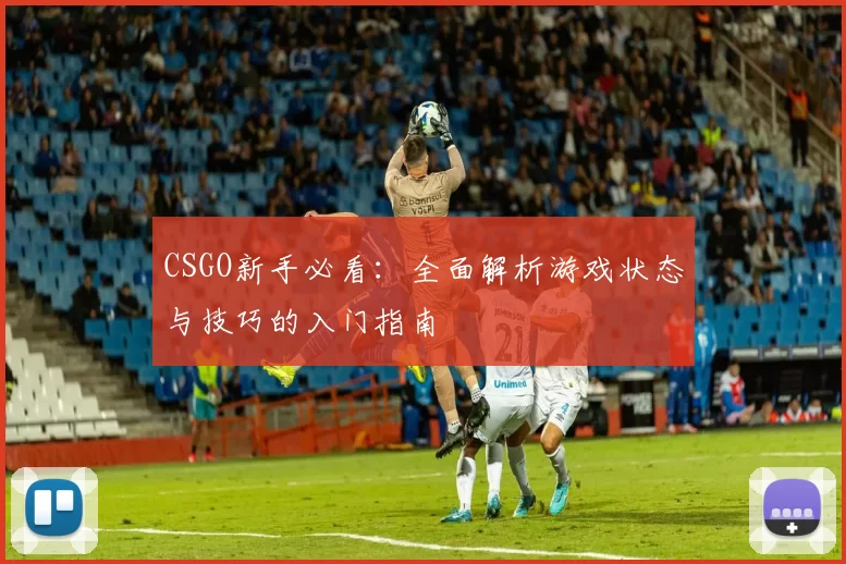 CSGO新手必看：全面解析游戏状态与技巧的入门指南