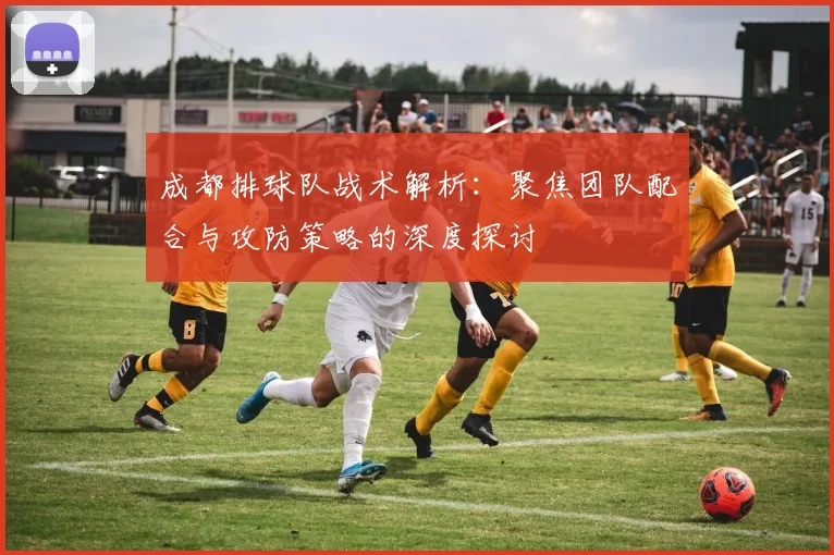 成都排球队战术解析：聚焦团队配合与攻防策略的深度探讨