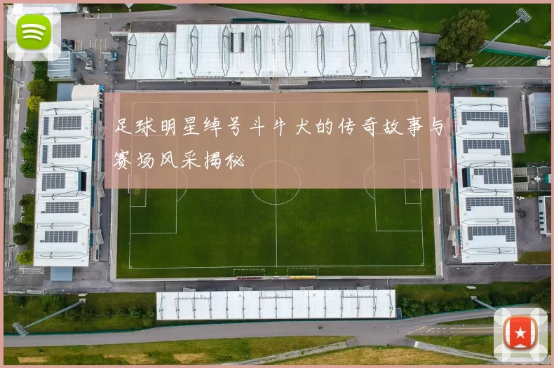 足球明星绰号斗牛犬的传奇故事与赛场风采揭秘