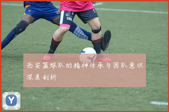 西安篮球队的精神传承与团队意识深度剖析