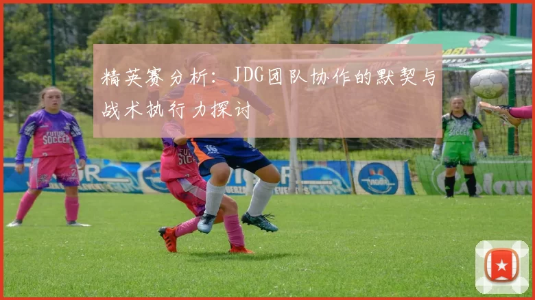 精英赛分析：JDG团队协作的默契与战术执行力探讨