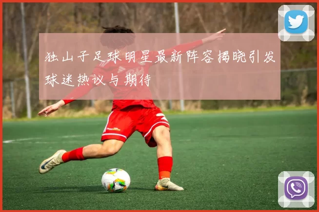 独山子足球明星最新阵容揭晓引发球迷热议与期待