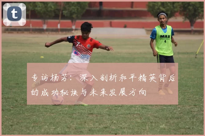 专访杨芳：深入剖析和平精英背后的成功秘诀与未来发展方向