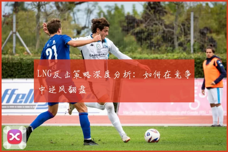 LNG反击策略深度分析：如何在竞争中逆风翻盘