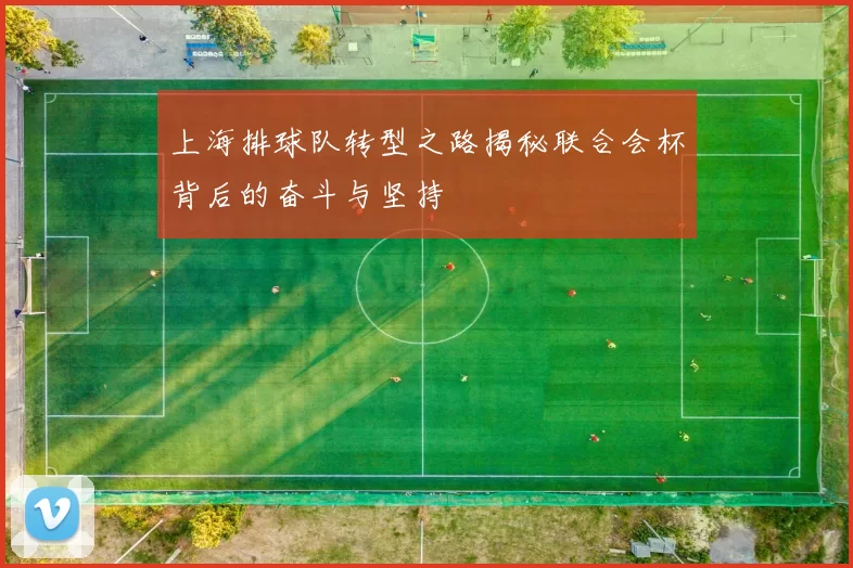 上海排球队转型之路揭秘联合会杯背后的奋斗与坚持