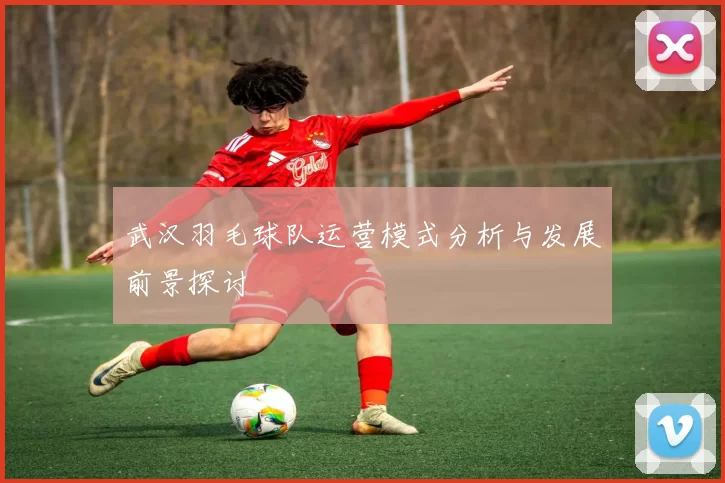 武汉羽毛球队运营模式分析与发展前景探讨
