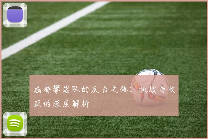 成都攀岩队的反击之路：挑战与收获的深度解析