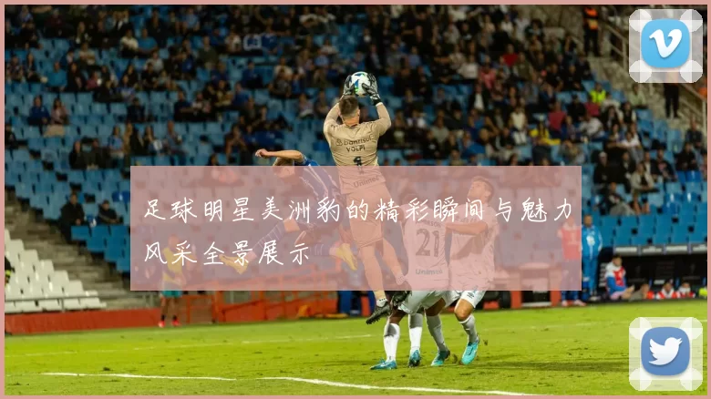 足球明星美洲豹的精彩瞬间与魅力风采全景展示