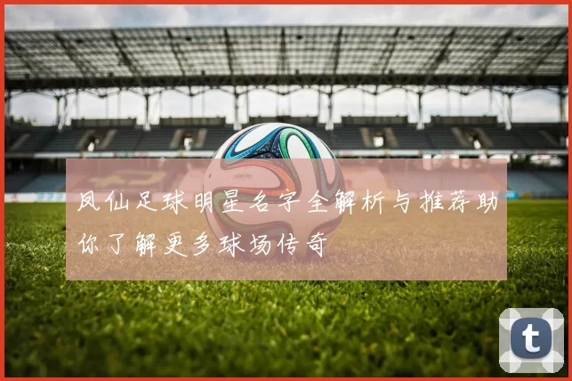 凤仙足球明星名字全解析与推荐助你了解更多球场传奇