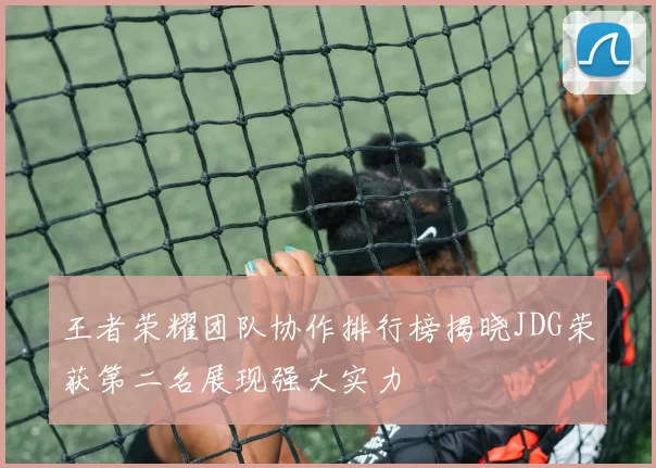 王者荣耀团队协作排行榜揭晓JDG荣获第二名展现强大实力