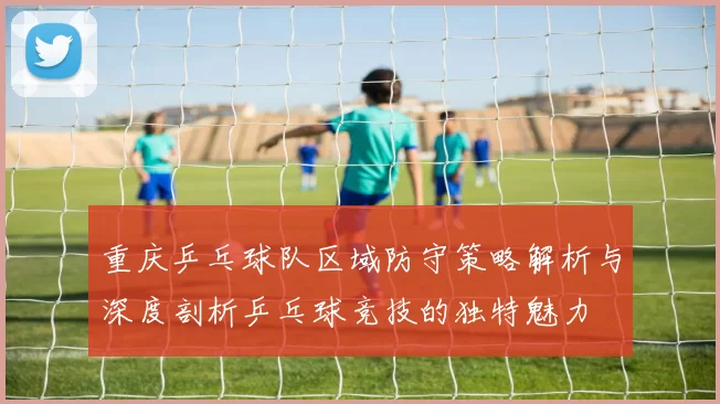 重庆乒乓球队区域防守策略解析与深度剖析乒乓球竞技的独特魅力