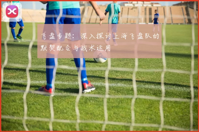 飞盘专题：深入探讨上海飞盘队的默契配合与战术运用