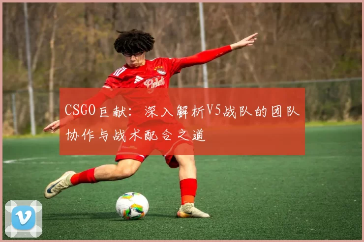CSGO巨献：深入解析V5战队的团队协作与战术配合之道