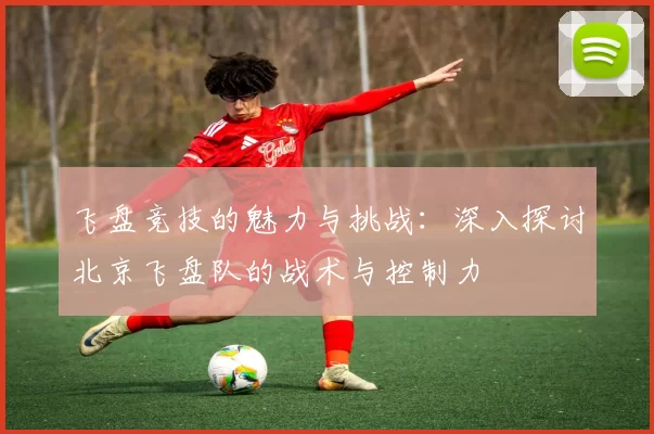 飞盘竞技的魅力与挑战：深入探讨北京飞盘队的战术与控制力