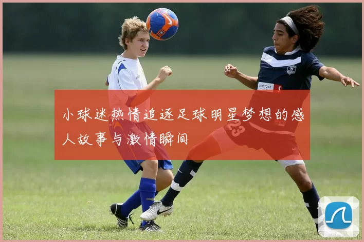 小球迷热情追逐足球明星梦想的感人故事与激情瞬间