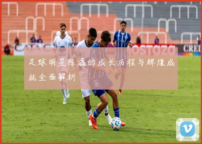 足球明星陈磊的成长历程与辉煌成就全面解析