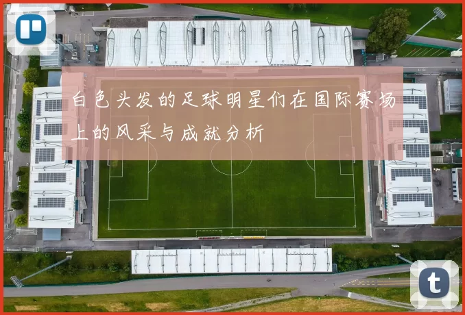 白色头发的足球明星们在国际赛场上的风采与成就分析