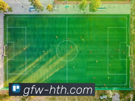 华体会发展历程